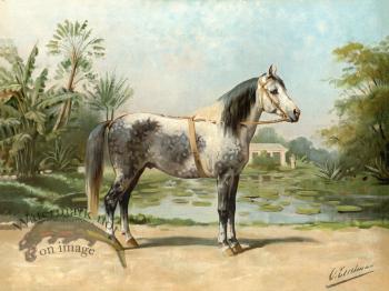 Sandlewood Horse by Eerelman